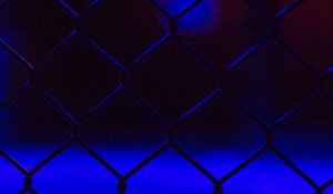 Exploring the Conundrum of Free Speech in the UFC: The Sean Strickland Dilemma